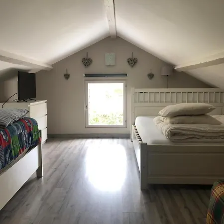 Alpehytte Chambon-Sur-Lac